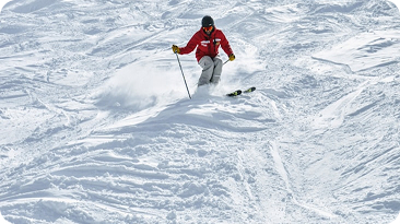 Nivå 1 – Nybörjare