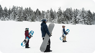 Nivå 3 – Avancerad